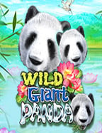 เล่น เกม แคน ดี้ ได้ เงิน: รีวิวสุดปังจาก Pragmatic Play